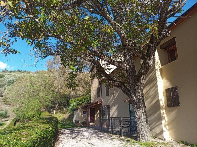 Agriturismo Il Giardino ポンタッシエーヴェ エクステリア 写真