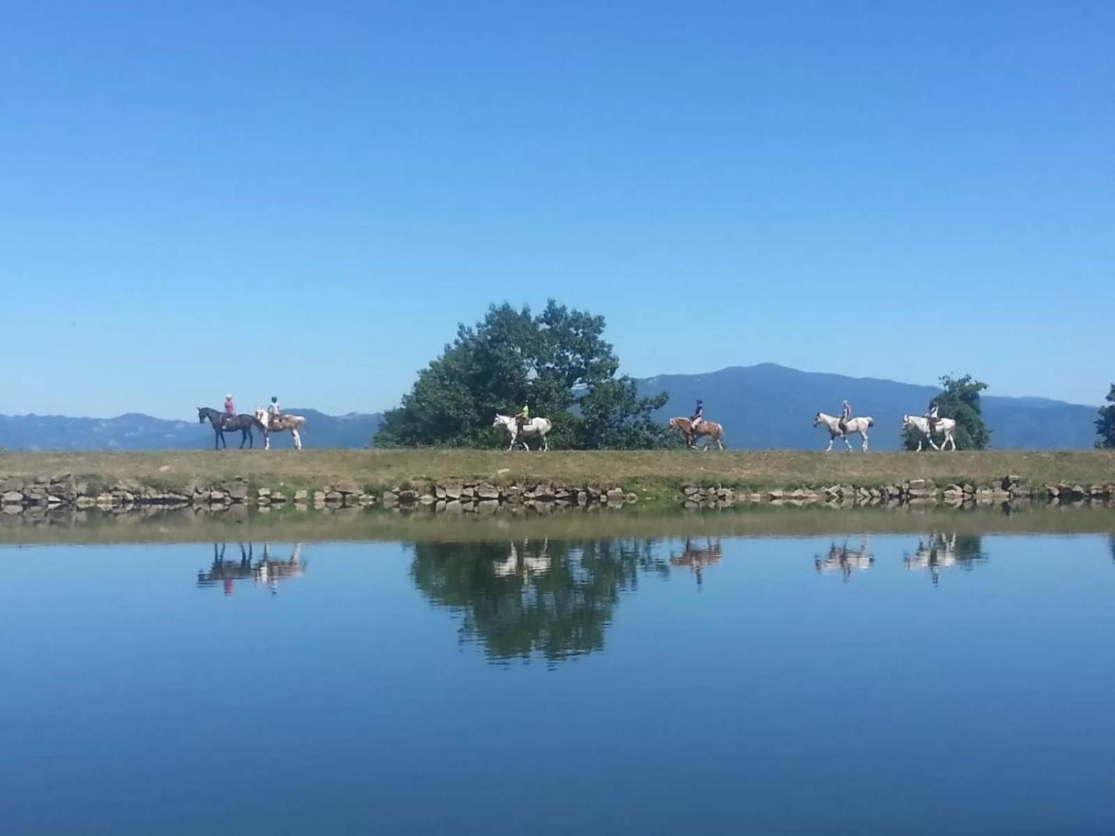 Agriturismo Il Giardino ポンタッシエーヴェ エクステリア 写真