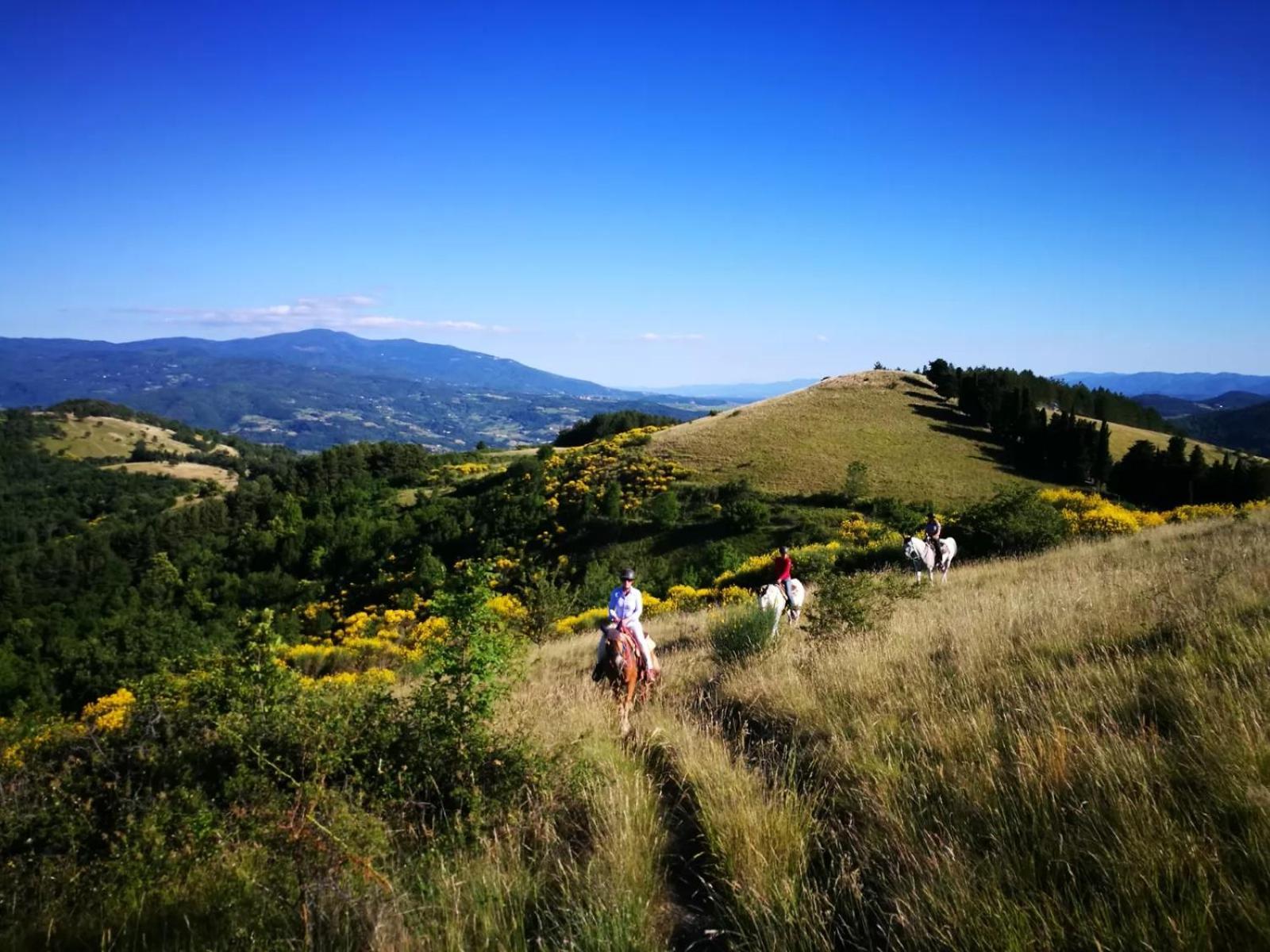 Agriturismo Il Giardino ポンタッシエーヴェ エクステリア 写真
